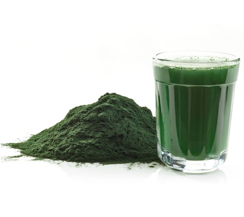 Chlorella for Treating MS