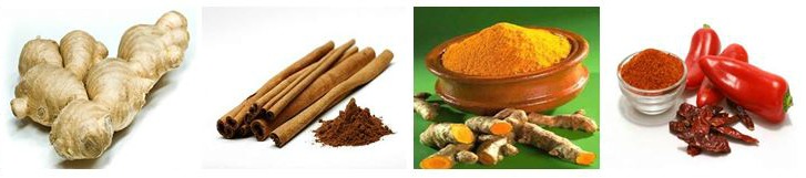 Ginger, cinnamon, turmeric and cayenne pepper for cancer prevention and treatment