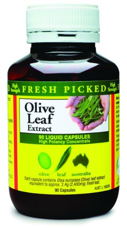 Olive leaf extract sinus headache treatment