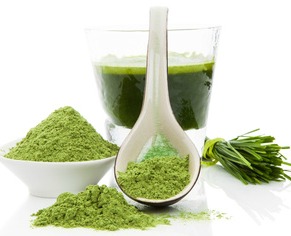Wheat grass for treating rosacea